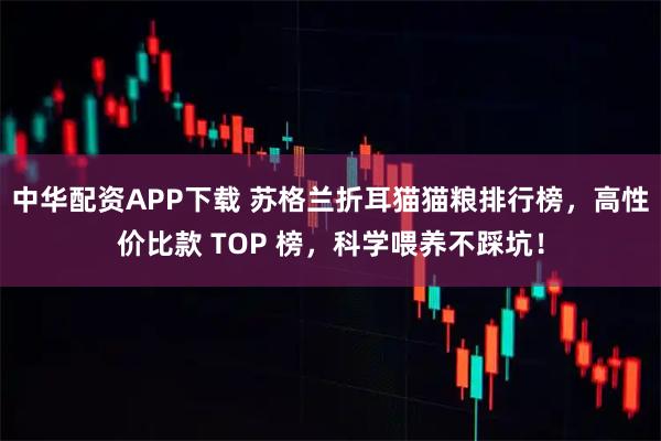 中华配资APP下载 苏格兰折耳猫猫粮排行榜,高性价比款 TOP 榜,科学喂养不踩坑!