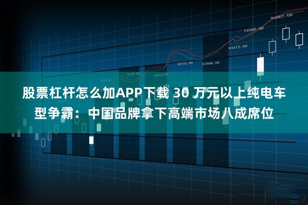 股票杠杆怎么加APP下载 30 万元以上纯电车型争霸：中国品牌拿下高端市场八成席位