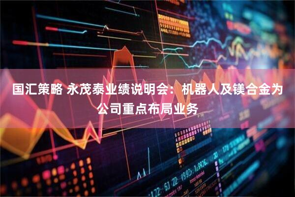国汇策略 永茂泰业绩说明会：机器人及镁合金为公司重点布局业务